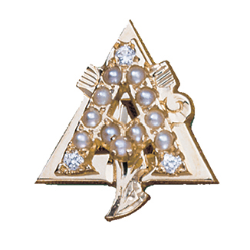 Alpha Gamma Delta pin - Gold Alpha Gamma Delta sorority pin in a triangular shape. White pearls and small clear stones form the Greek letters ΑΓΔ. A stylized torch overlays the center of the triangle. The pin sits against a white background.