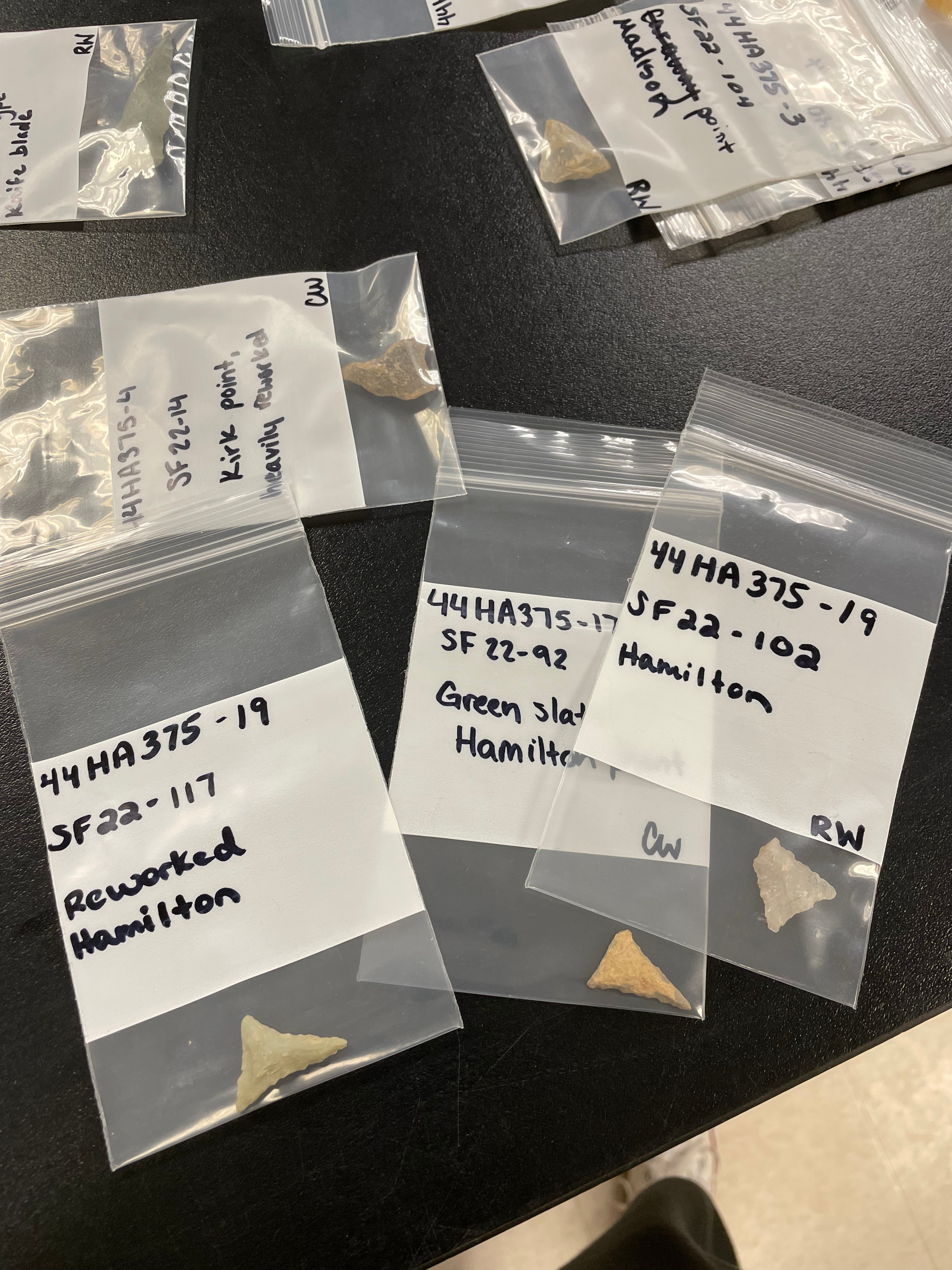 - Several small arrowhead artifacts are stored in labeled plastic bags on a lab table. Each bag includes handwritten identification numbers and site names. The triangular stone points vary in color and size. The artifacts appear organized for archaeological cataloging and study.