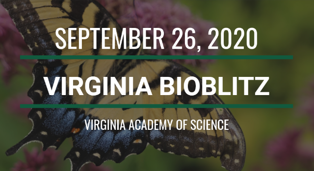 Virginia BioBlitz event.