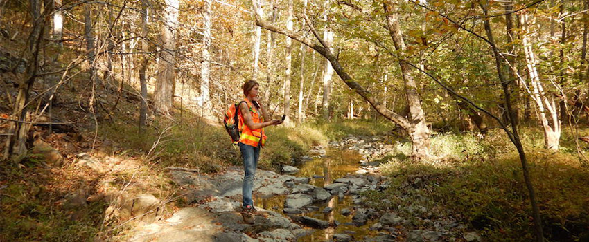 Institute staff are already hard at work at several sites, including this National Trust for Historic Preservation site in Mecklenburg County.