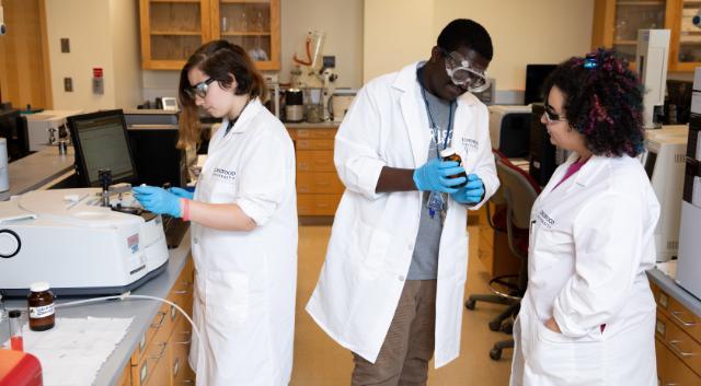 Students working in a campus lab