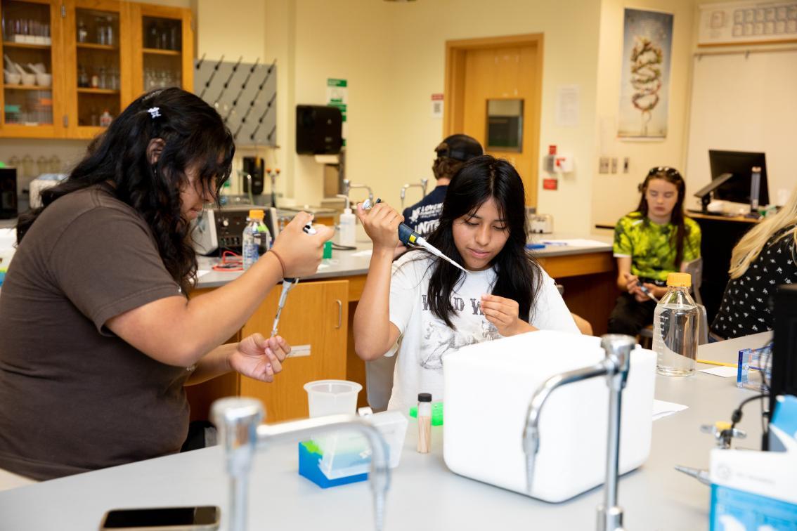 Summer Scholars participants working in the lab