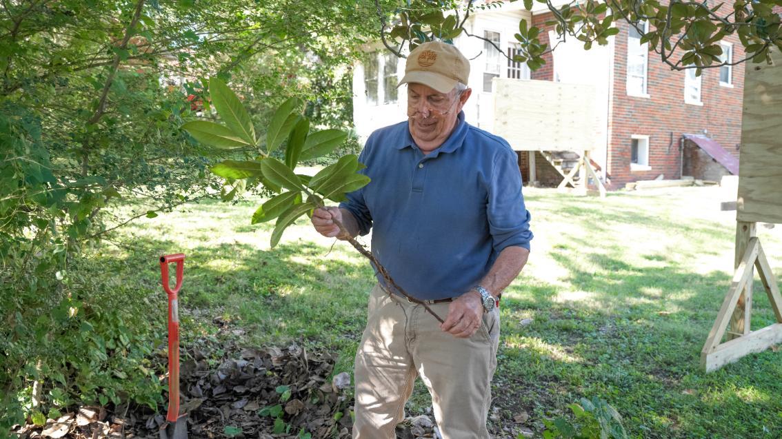 Longwood Director of Landscaping and Grounds Dave Love, holding a recently harvested magnolia tree “sucker,” explains the anatomy of the tree and how small shoots like these eventually grow to full-sized magnolias.