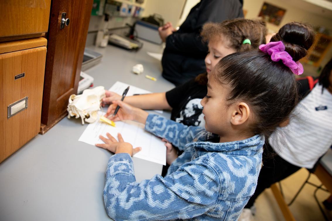 Among the classes Prince Edward students took part in during Lancer for a Day was associate professor of science education Dr. Ben Campbell’s biology lesson on the features of different animal skulls.